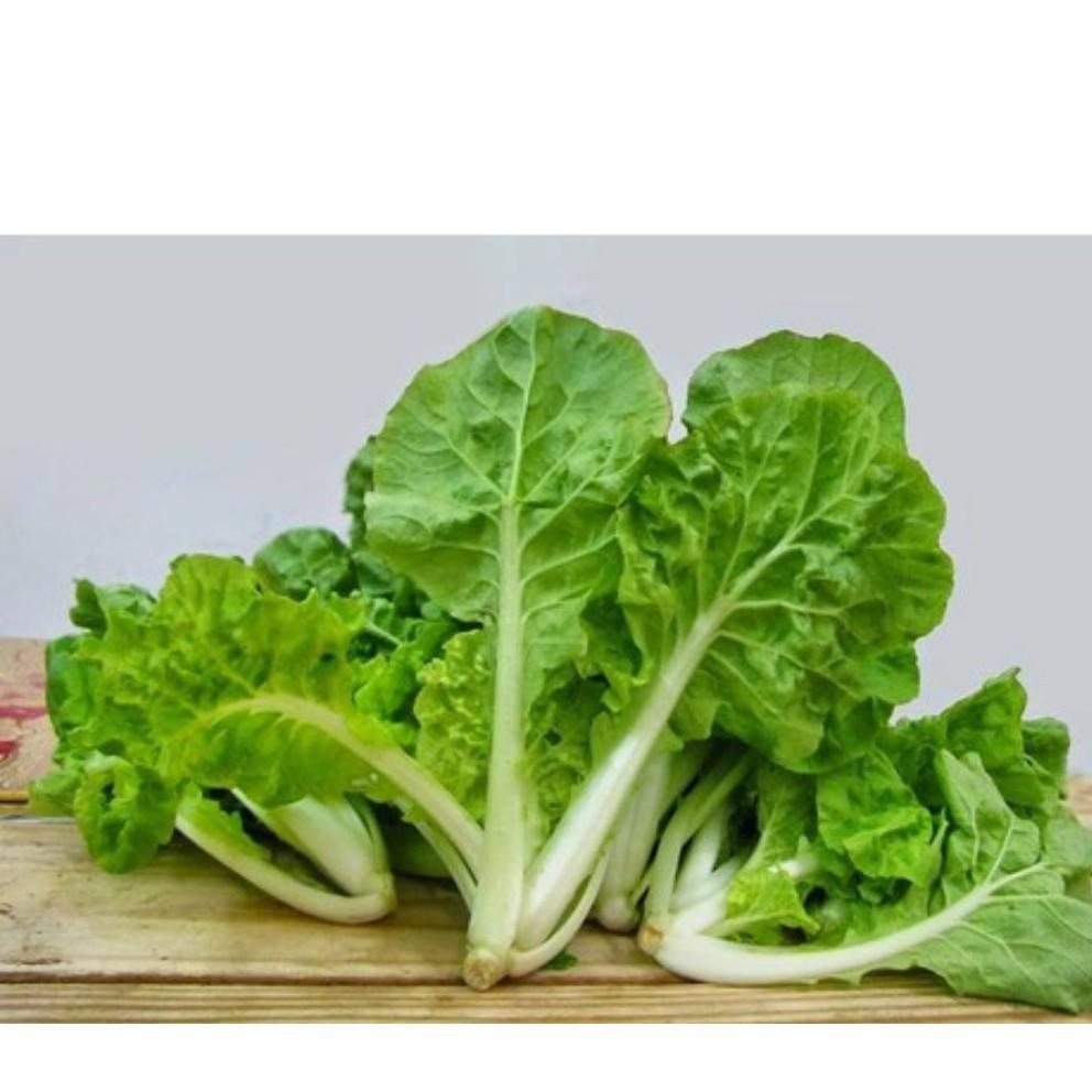 Hạt Giống Cải Bẹ Dún Dễ Trồng, Nhanh Thu Hoạch