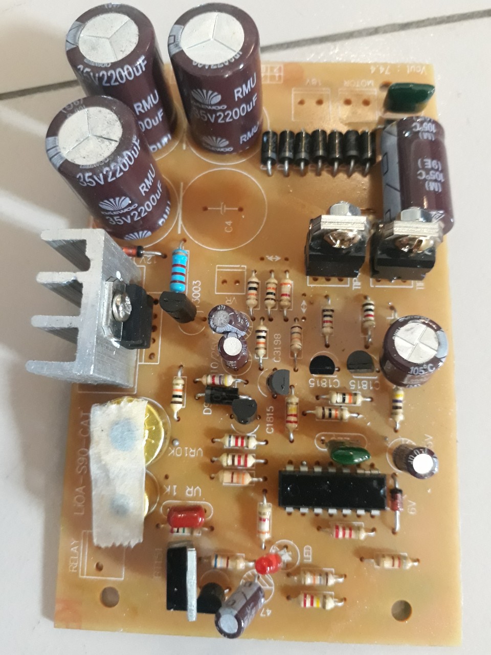 VỈ MẠCH LIOA DẢI 90 ĐỜI TỤ BÉ