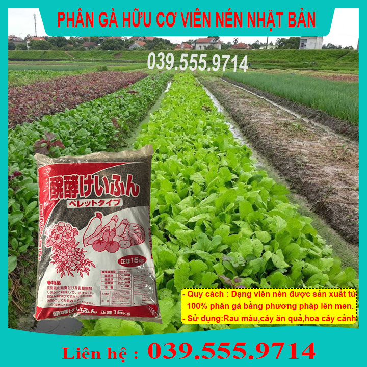 100g Phân bón hữu cơ Khoáng Nhật Bản trồng rau, hoa hồng, hoa giấy, cây cảnh