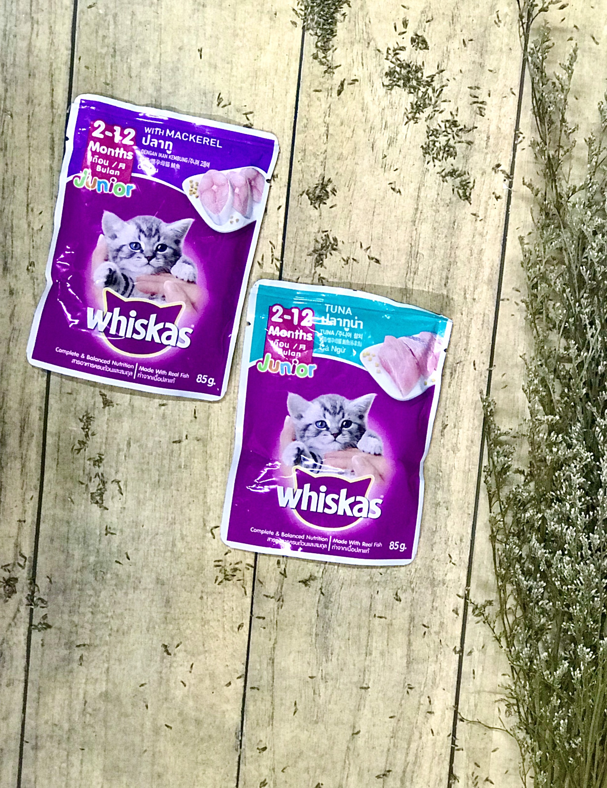 PATE WHISKAS thức ăn ướt cho mèo