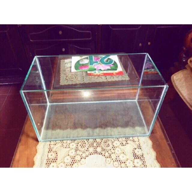 Bể cá size trung giá rẻ ( tặng  cây nhựa + thức ăn cá)