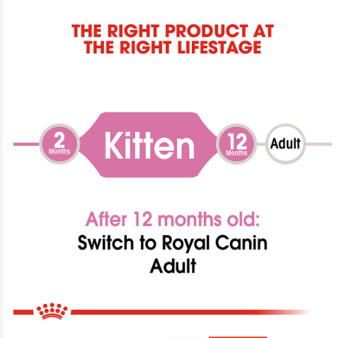 Hạt Royal Canin Kitten Cho Mèo Con 2kg