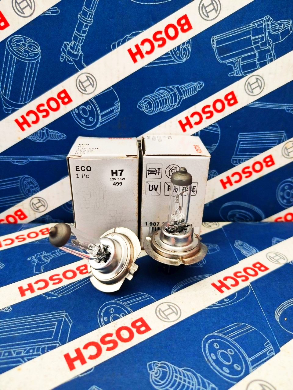 Bóng đèn bosch h7 12v 55w