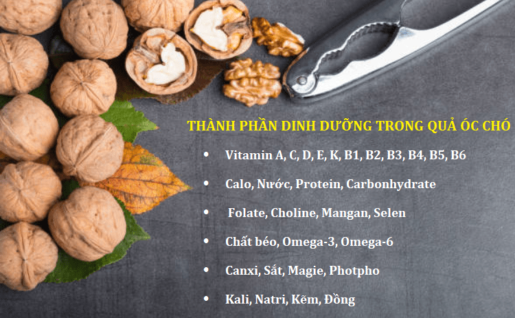 [HCM] 500G Quả Óc Chó Mỹ Nhập Khẩu (Hàng Vỏ Mỏng Sấy Khô Thơm Ngon Hàng Chuẩn Loại Ngon)