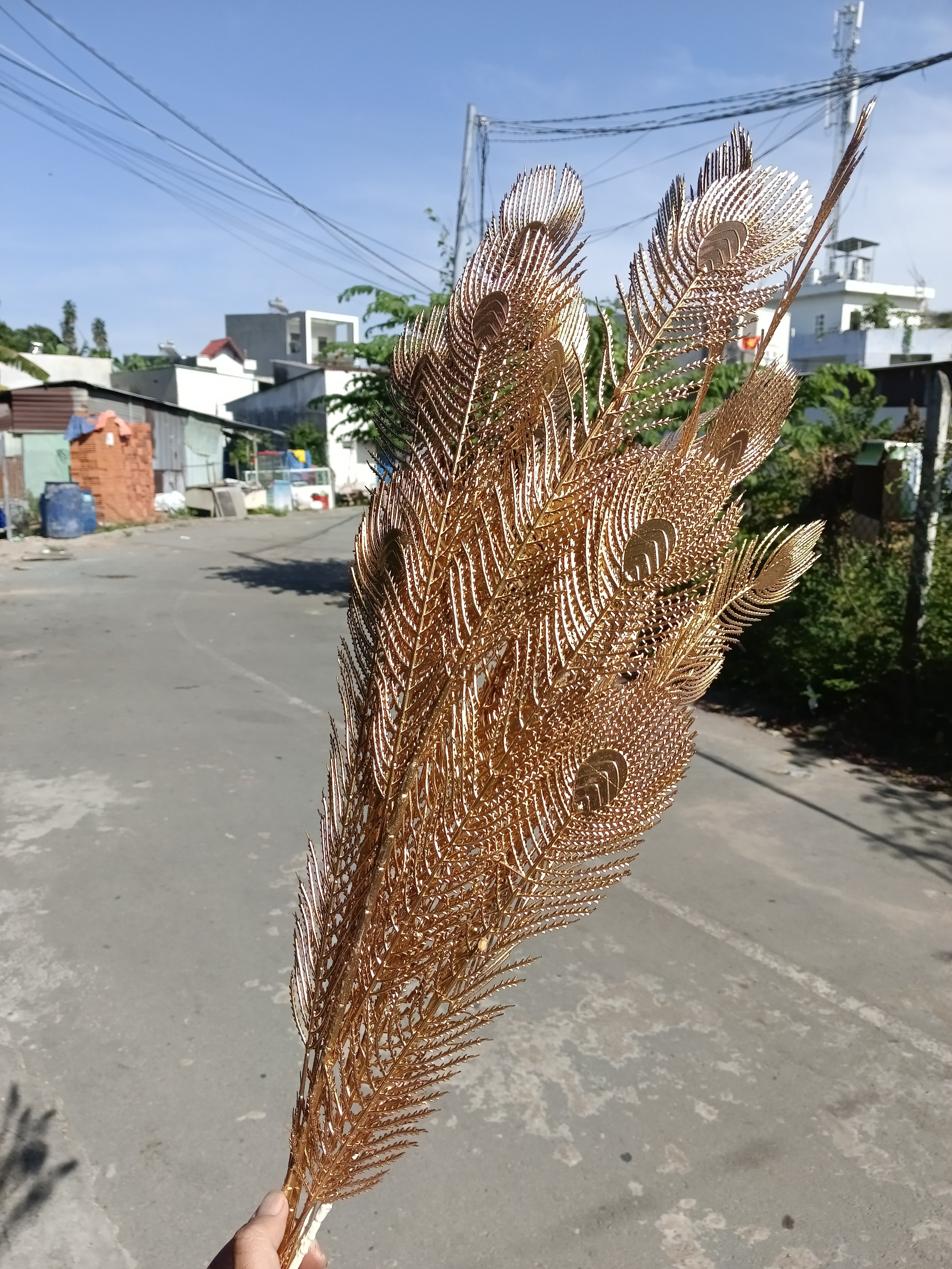 rẻ quạt, cành vàng trang trí tết