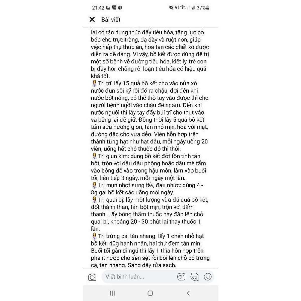 cây giống bồ kết kết