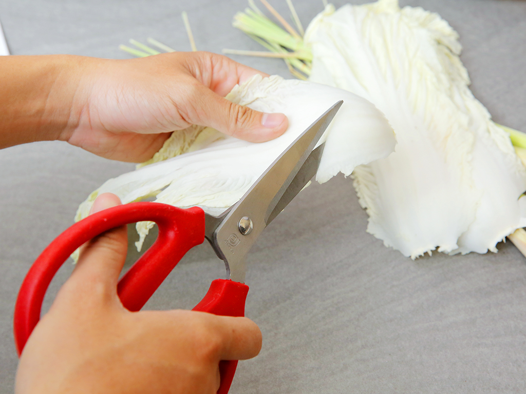 Kéo Cắt Thực Phẩm Không gỉ Cán Đỏ, Kéo Cắt Giấy