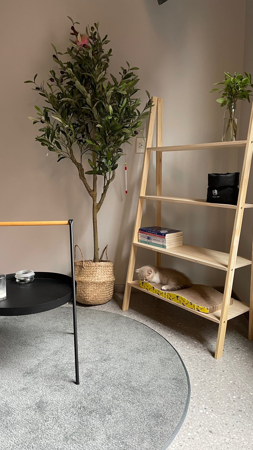 Kệ để đồ 4 ngăn bằng gỗ