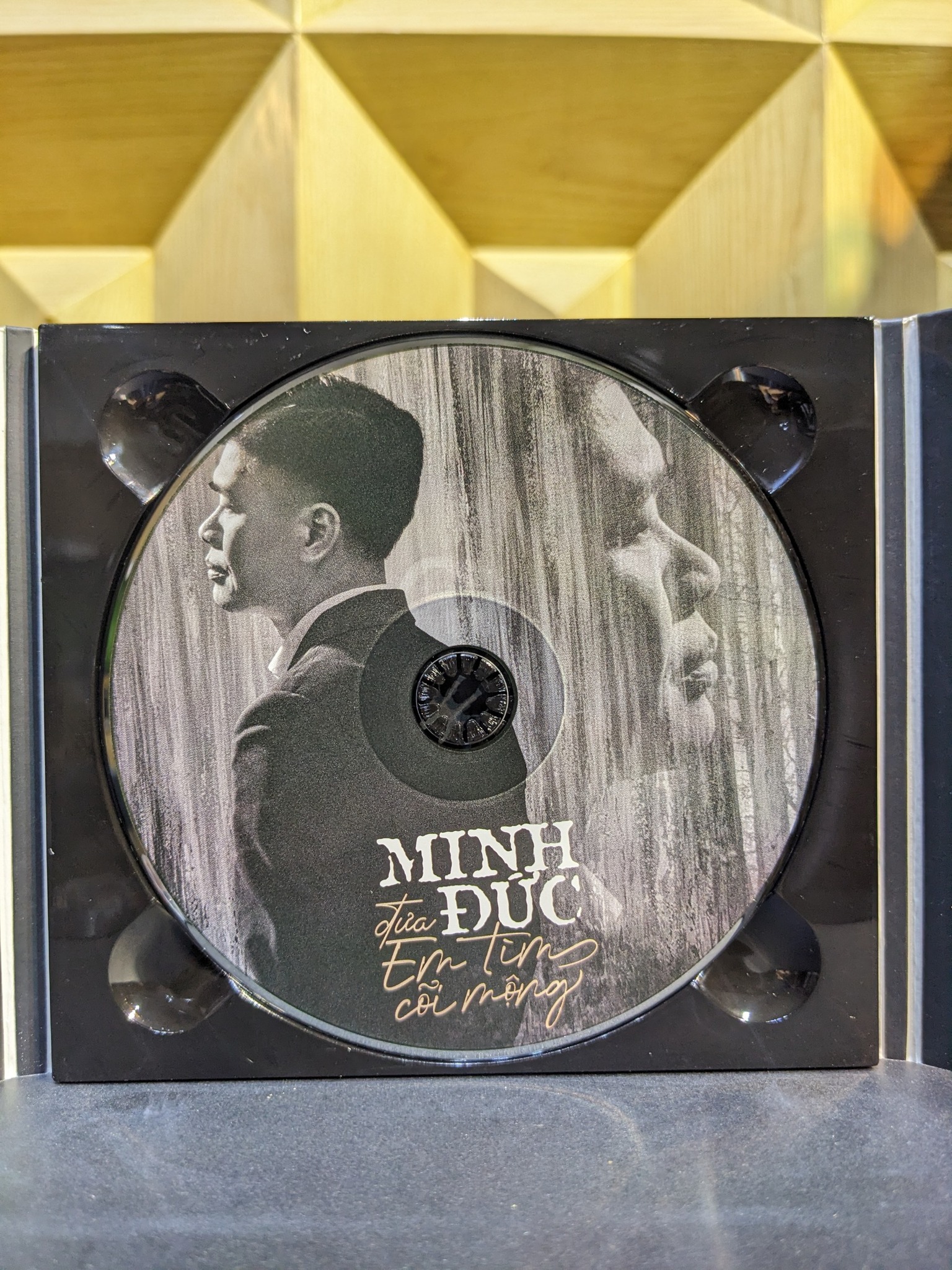 Minh Đức - Vol.2 - Đưa Em Vào Cõi Mộng