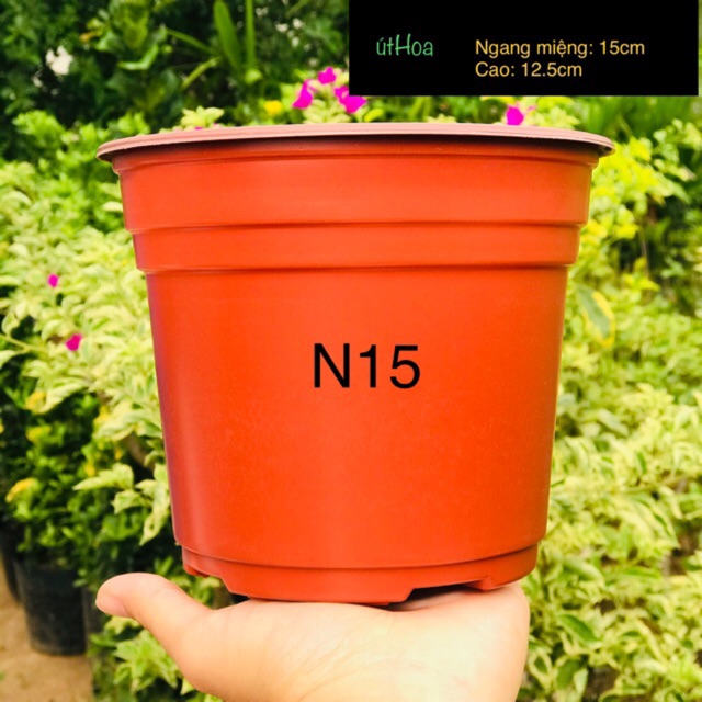 Chậu nhựa nâu N15 (15x12.5cm)vành miệng cứng