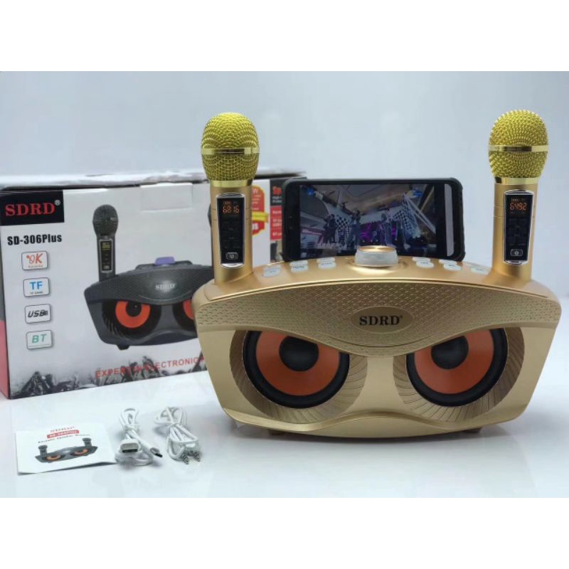 Loa SDR 306 plus kèm 2 micro không dây