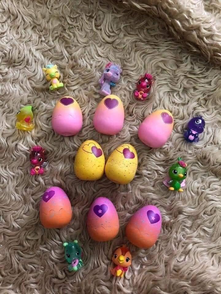 SET 5 QUẢ TRỨNG HATCHIMALS