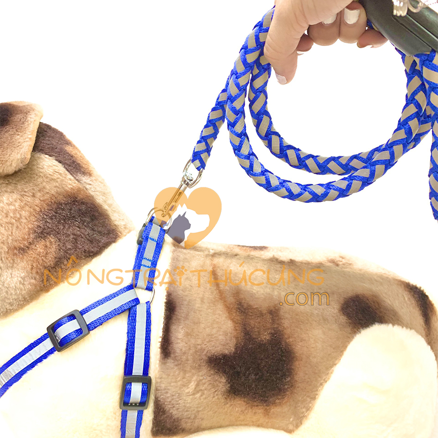 Dây Dắt Phản Quang (Kèm Yếm) Cho Chó 7-15kg - [Nông Trại Thú Cưng]