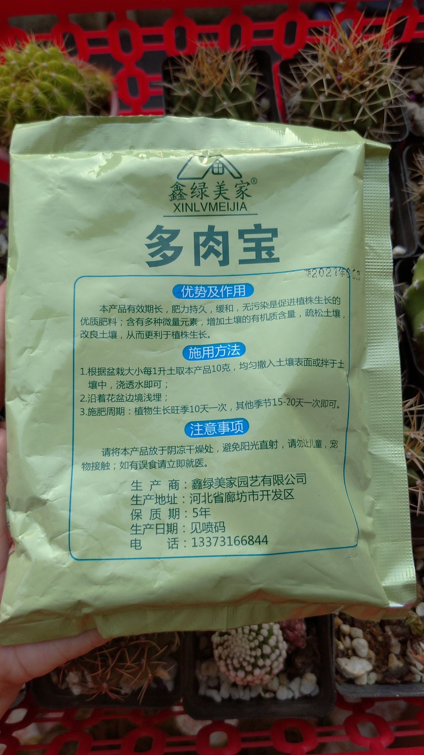 Phân bón tan chậm cho sen đá, xương rồng mập ú