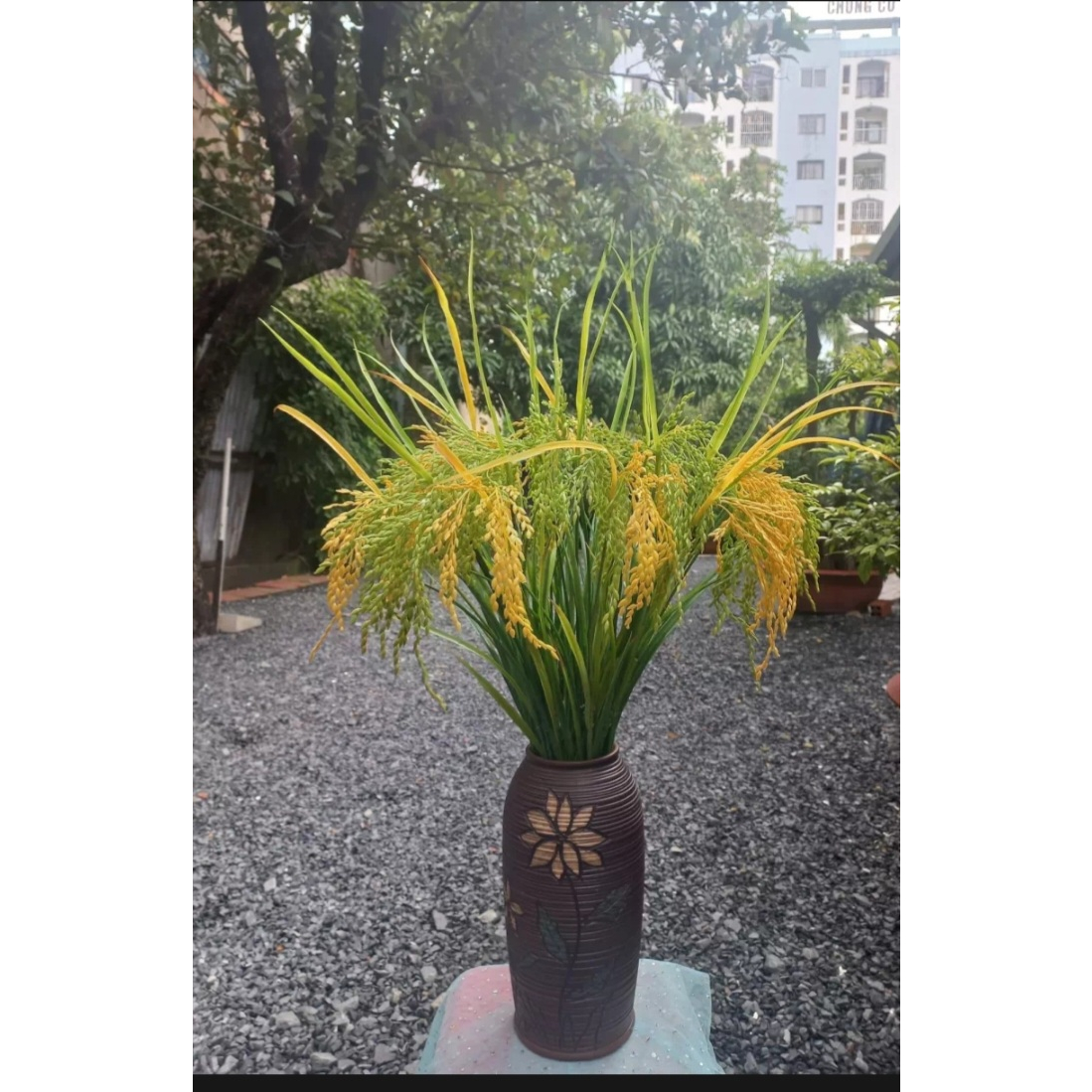 LÚA GIẢ. CÂY LÚA GIẢ 2 MÀU XANH ,VÀNG ( CAO 70CM)