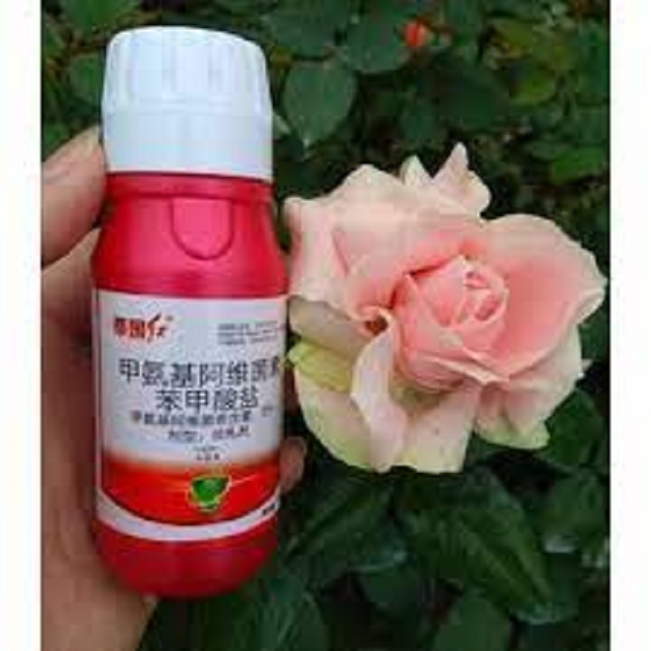 COMBO PHÒNG VÀ TRỊ TRĨ NHỆN TRUNG QUỐC HIỆU QUẢ CAO