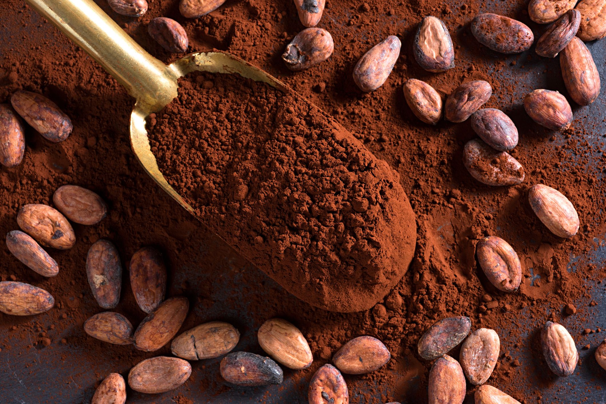 Bột Cacao Daklak Nguyên Chất