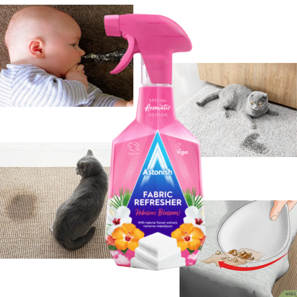 Bình xịt khử mùi - Hoa Phong Lữ Astonish C3430 (750ml)