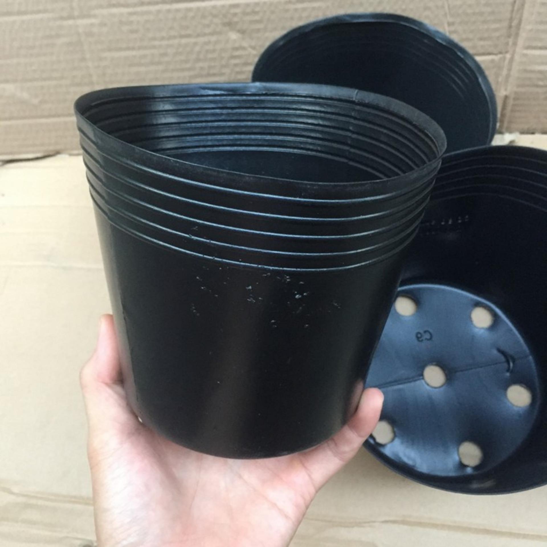 Bộ 100 chậu trồng hoa, cây cảnh c7