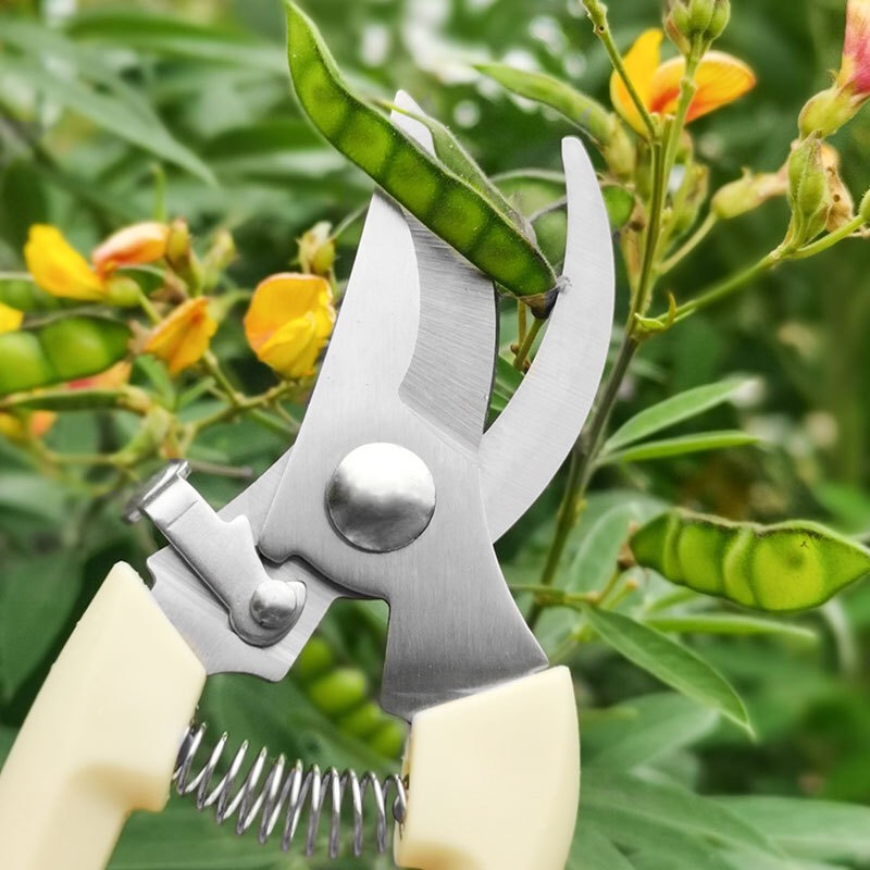 Kéo cắt cành, Kéo tỉa cành cây  C1