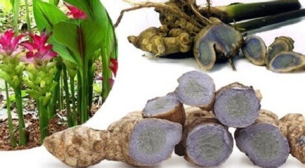 Bột Nghệ Đen 100% XUÂN NGUYÊN GROUP