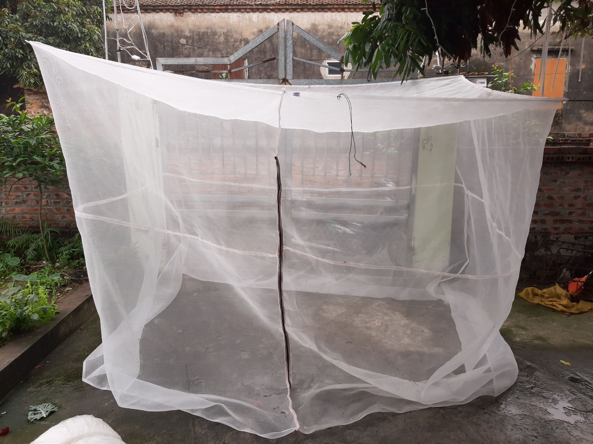 Mùng nuôi ruồi lính đen - 3x2x2