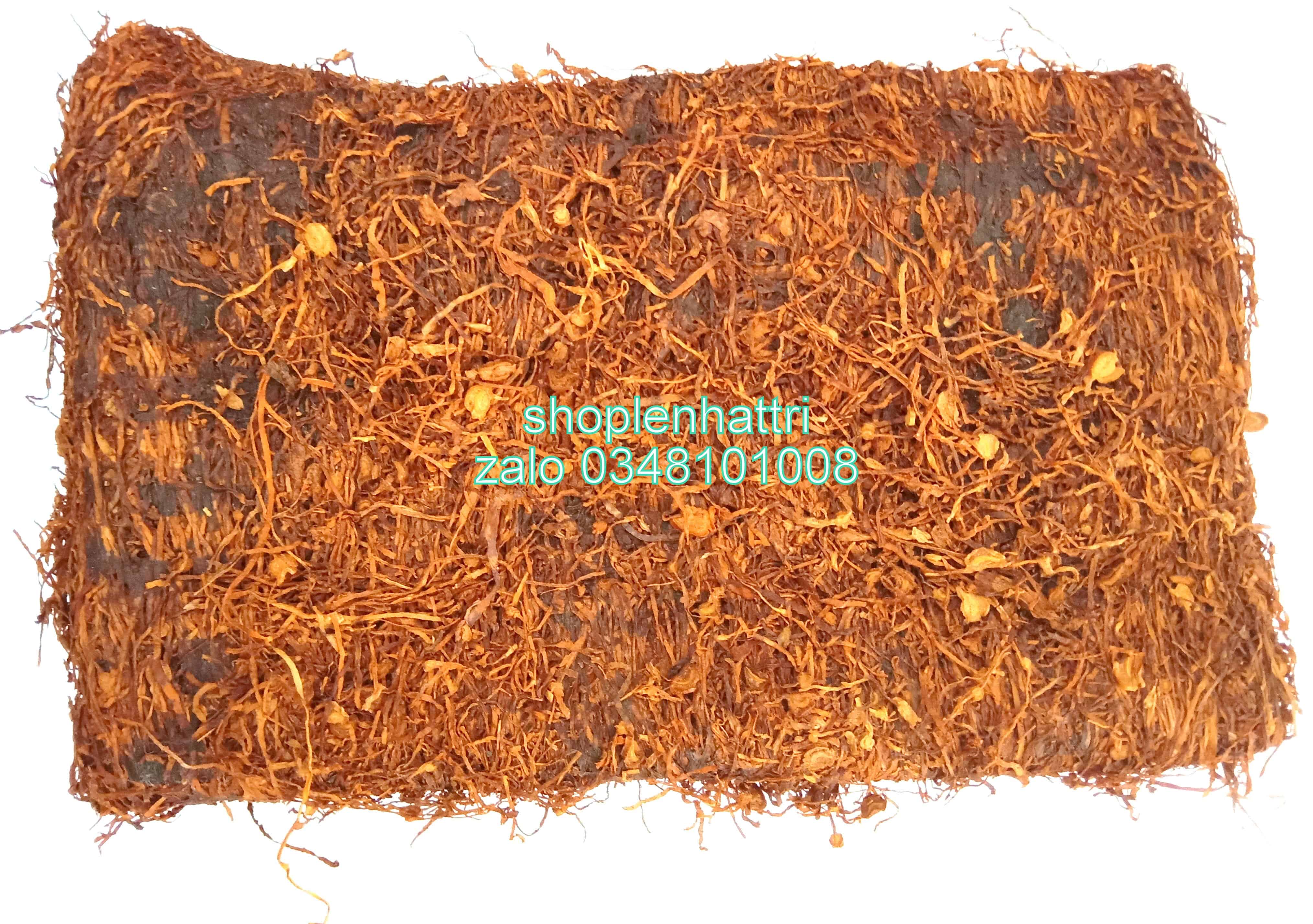 Ăn trầu xỉa trầu 100g