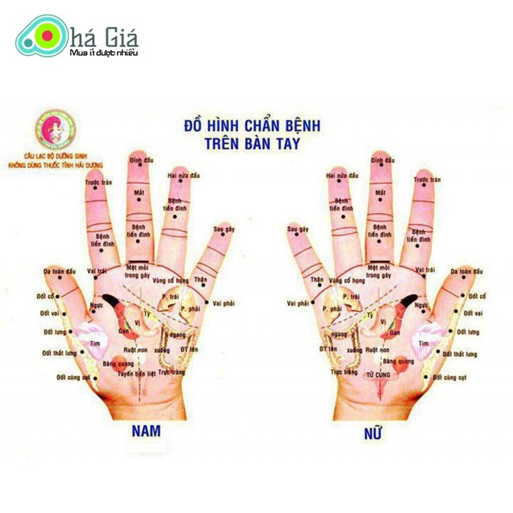 Quả Cầu Đinh Inox Massage - Dụng Cụ Diện Chẩn LOẠI 1 ( Massage xoa bóp bấm huyệt, Điện Chấn Thư Giãn gân cốt,...)