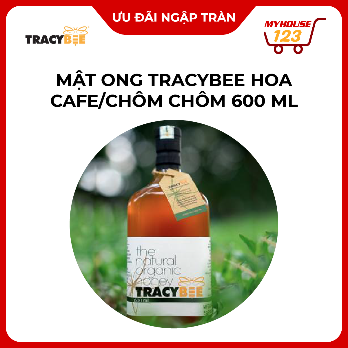 Mật ong TRACYBEE hoa cafe/chôm chôm 600 ml