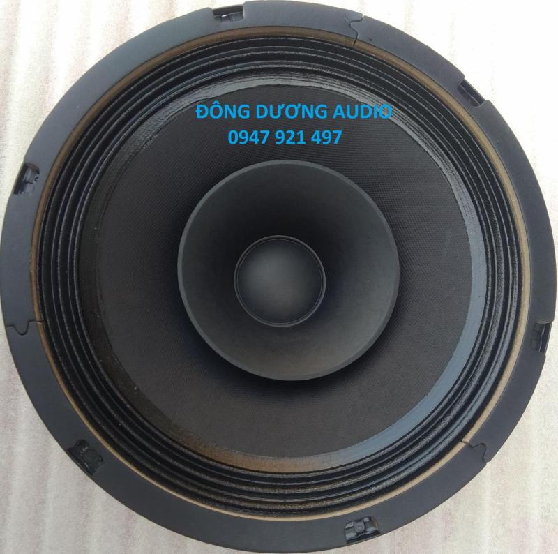 MỘT CHIẾC LOA BASS 25 TOÀN DẢI CAO CẤP