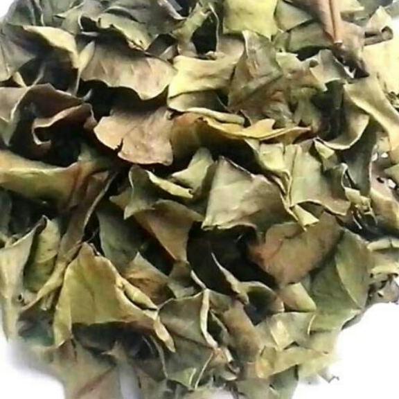 1kg lá vối khô