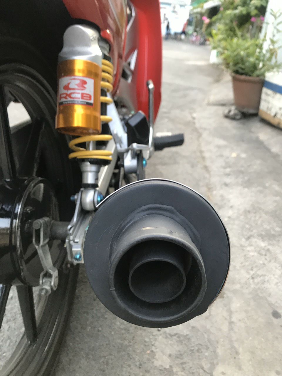 [HCM]Lon Pô Cbr Redleo (KHÔNG kèm cổ)