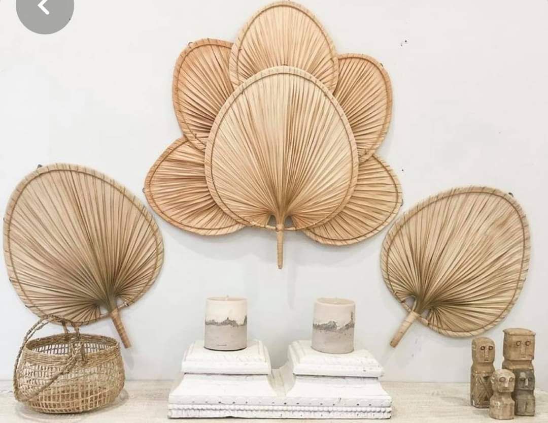 8 quạt lá cọ decor y hình