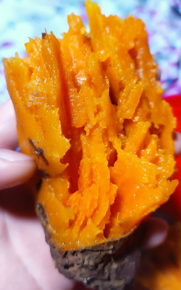 2 KÝ KHOAI LANG MậT LOAI TRUNG(8-10Củ 1 KÝ)- SAM LÊ SHOP