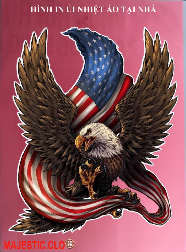 Hình ủi ép nhiệt-hình in áo- Logo American Eagle-Hình IN ÁO TẠI NHÀ RẤT ĐẸP-khuyến mãi -in pet chuyển nhiệt- ủi trực tiếp lên vải-MAJESTIC.CLO