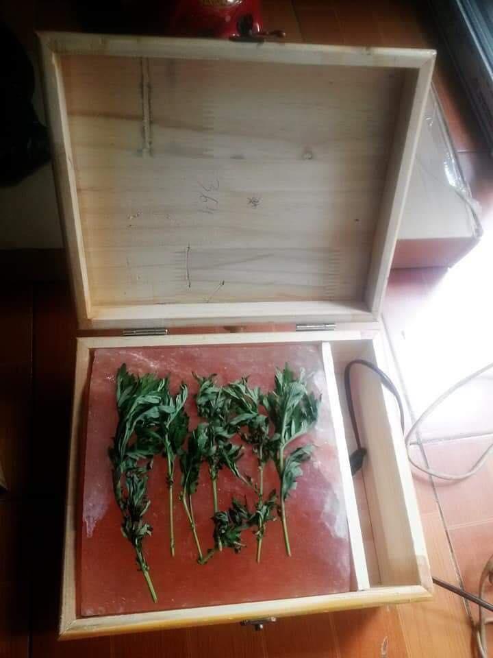 Đá muối xông chân