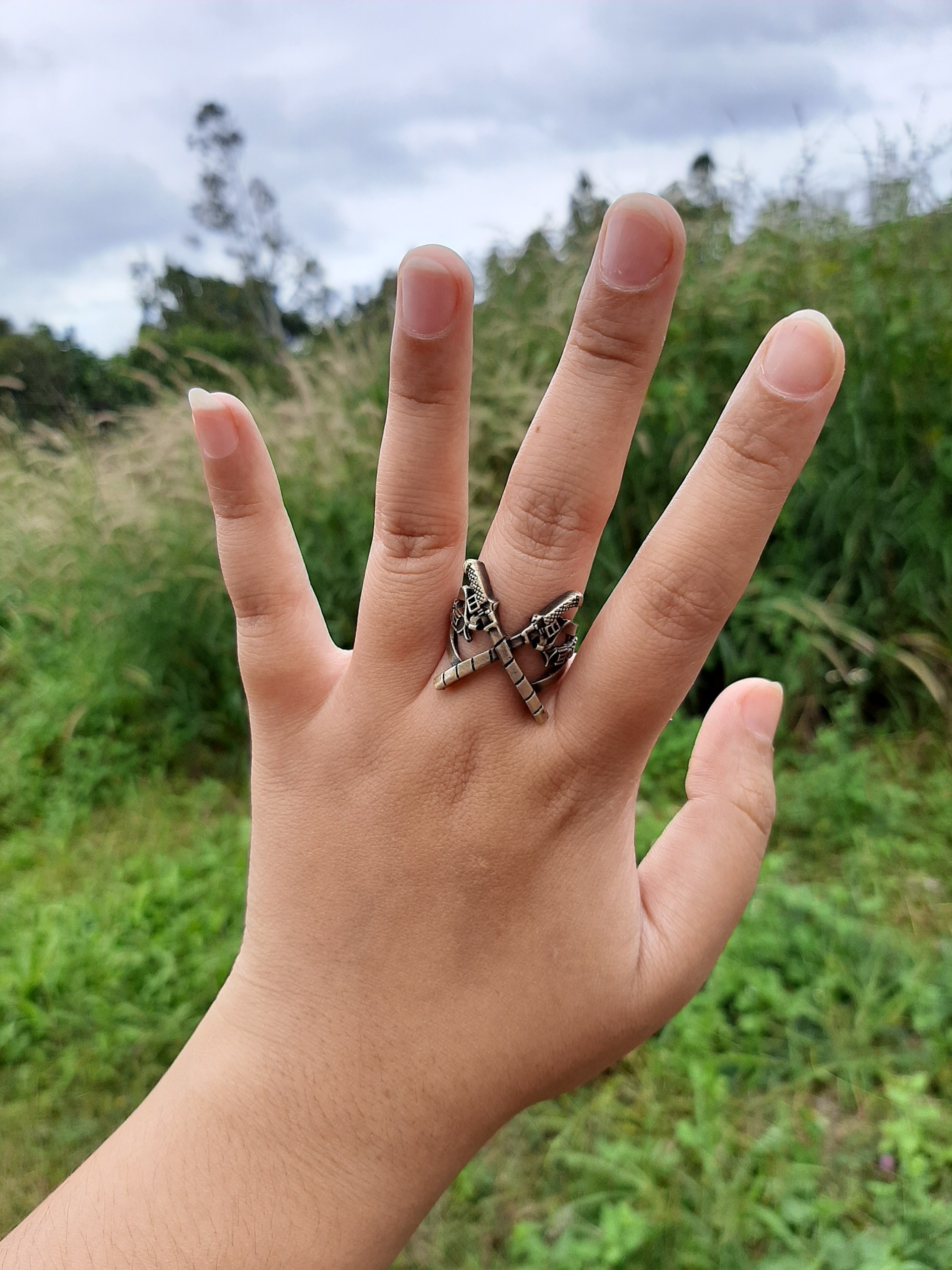 Nhẫn AOT - Nhẫn Attack On Titan đồng - Baystore