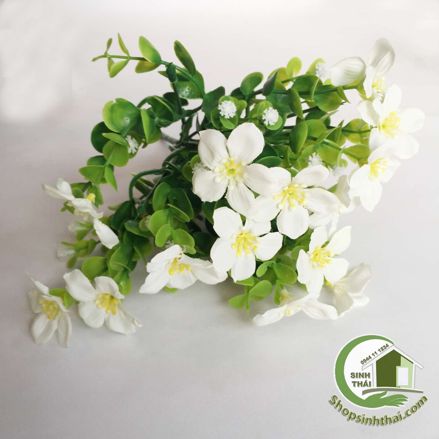 [HCM]Bụi cây hoa lài tây màu trắng cao 33cm [ Tổng kho ]