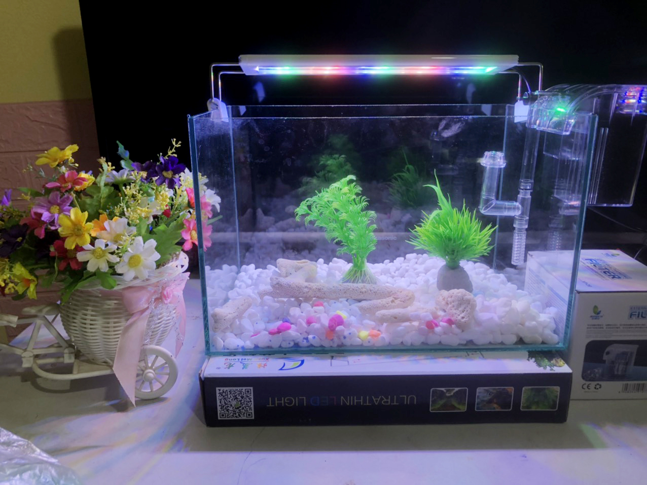 Hồ cá, bể cá full combo 6 món phụ Kiện D38 R20 H20