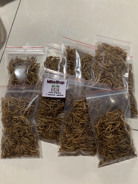 Sâu gạo rang - Trung - 20g