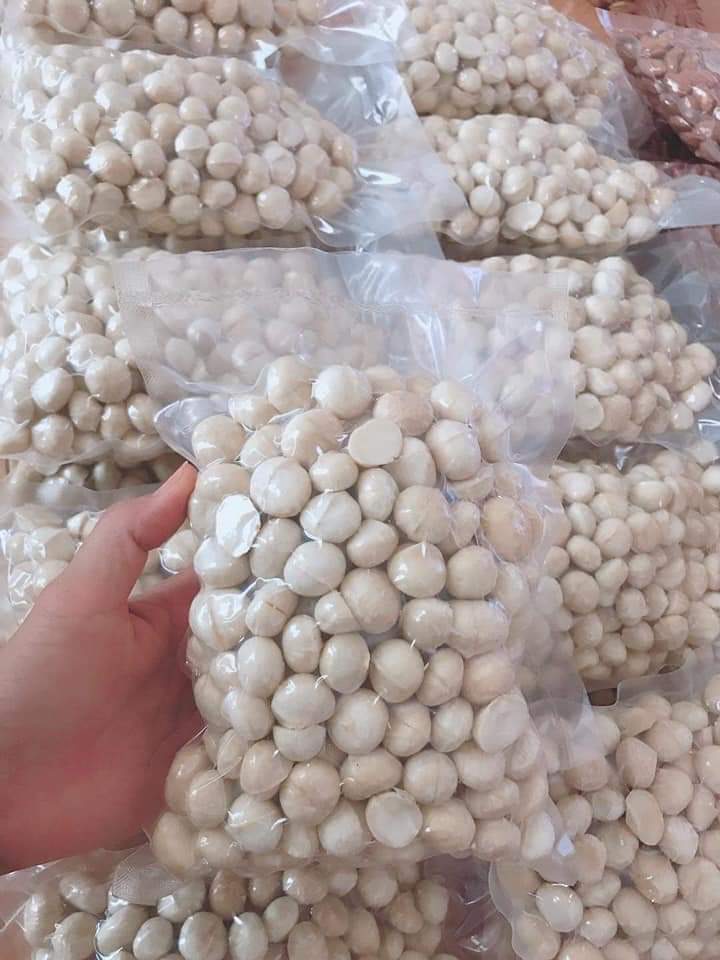 [HCM]500gr Nhân macca Đăk Lăk sấy chín