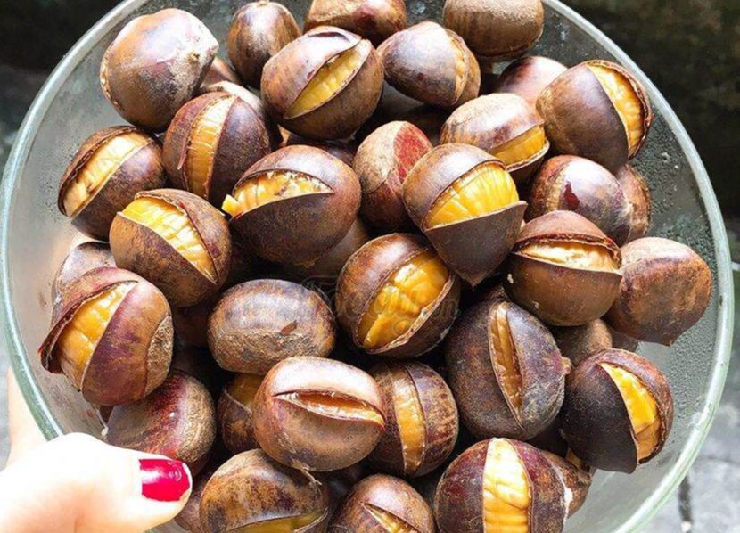 Hạt dẻ Sapa ngọt bùi (Loại 1 siêu to)