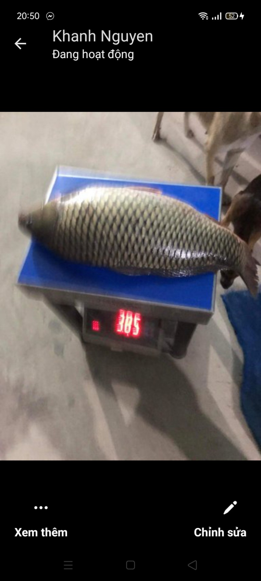 1KG MỒI CHÉP-MỒI CHUYÊN CHÉP-1KG/GÓI