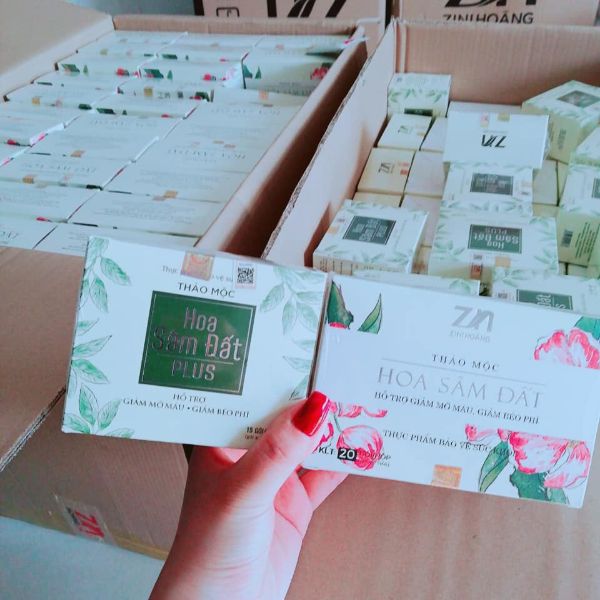 [HCM]Trà hoa sâm đất plus mẫu mới dạng viên hộp 30 viên