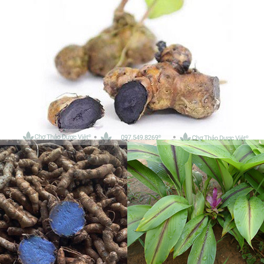 100g Tinh Bột Nghệ Đen Nguyên Chất Nhà Làm