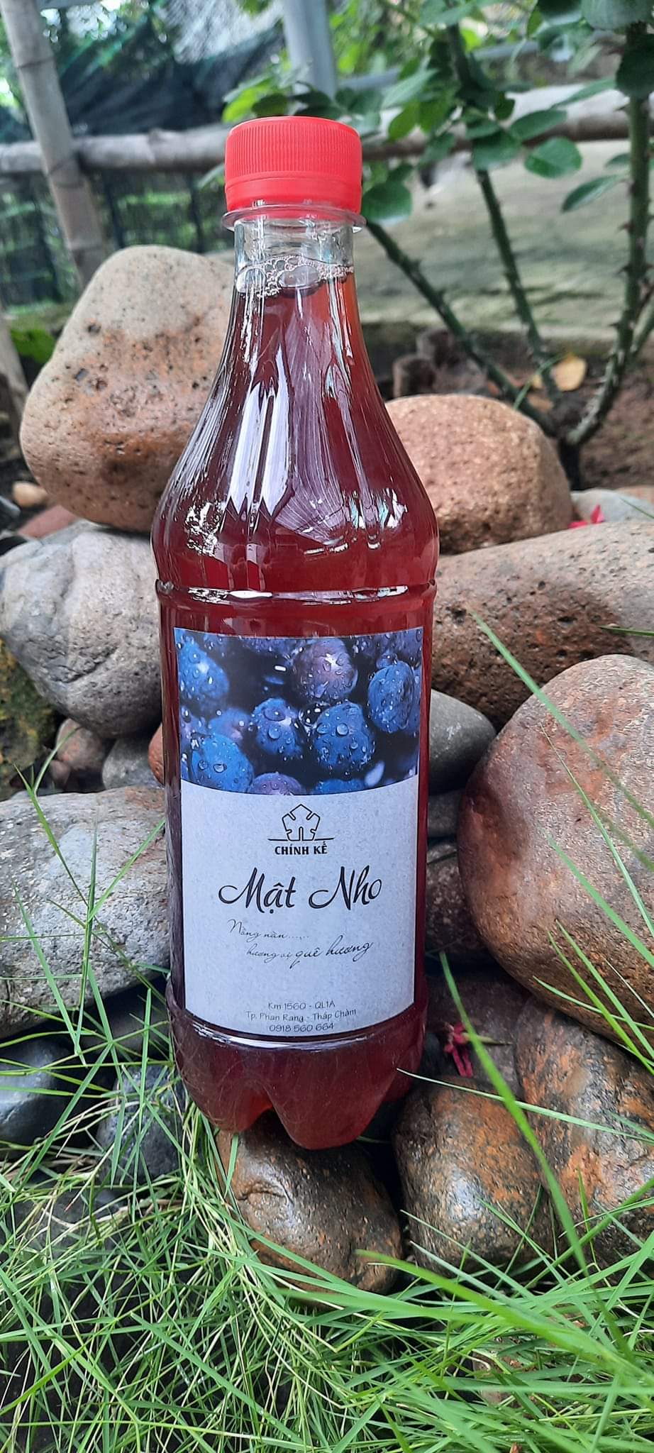 [HCM1] MẬT NHO PHAN RANG – NINH THUẬN (Chai nhựa 750ml)