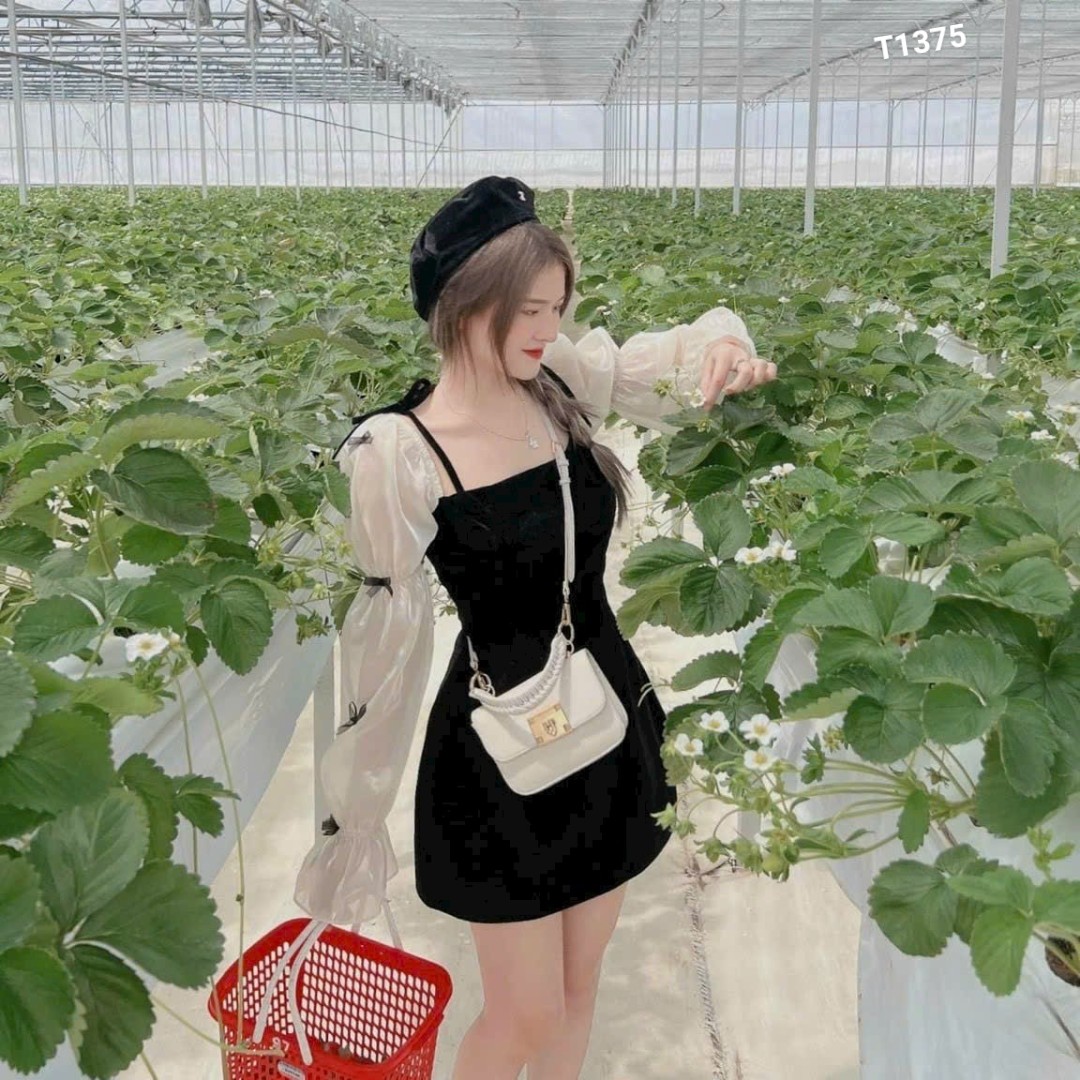 Đầm xòe nhung đính nơ tay dài nhún bèo vải nhung cứng kèm voan lụa có mút T1375