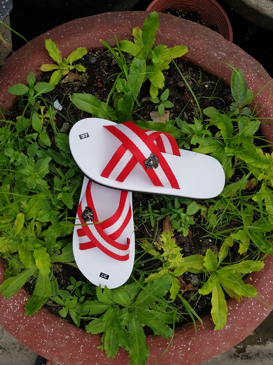 Dép quai chéo nam nữ ( đế trắng quai dù trắng đỏ ) size từ 34 đến 44