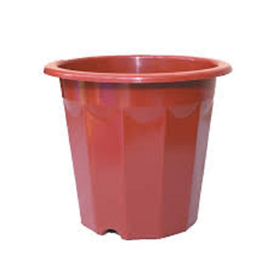Set 5 chậu nhựa trồng cây E230, E280 - Chậu ươm