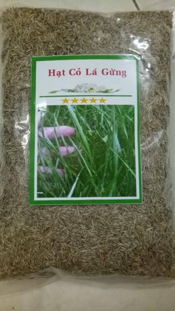 Hạt Giống Cỏ Lá Gừng F1. Cỏ Thảm. Túi 1 Kg Chất Lượng Cao -  Rất Dễ Trồng - Giá Khuyến Mại.